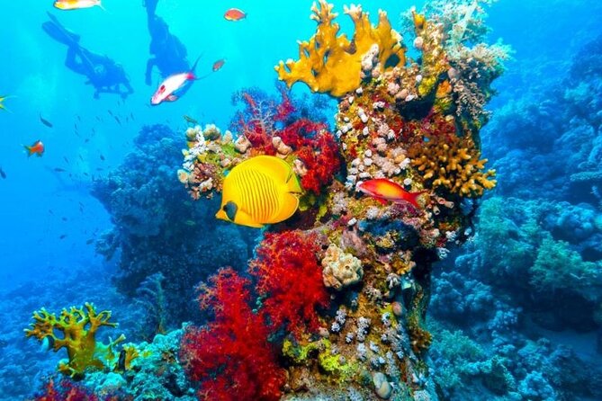 Sharm El Sheikh: Ras Mohammed and White Island VIP Boat Sea Trip - Booking Information