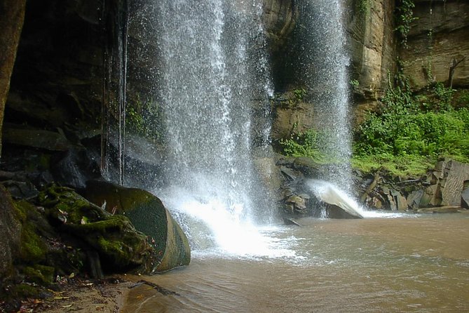 Shimba Hills National Reserve Day Tour From Mombasa/Diani Beach & Surroundings - Pickup Locations and Times