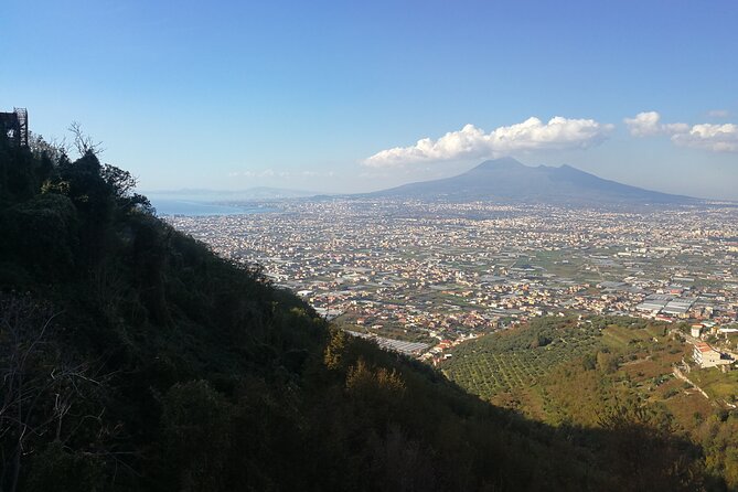 Shore Excursion Vesuvius and Site of Herculaneum (6 Hrs) - Important Information
