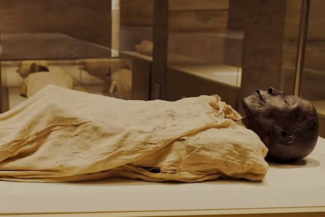 Short Stopover Tour to The National Museum of Egyptian Civilization - Tour Location and Pricing