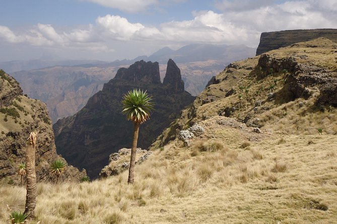 Simien Mountains National Park – 7 Day Trek - Local Wildlife Encounters
