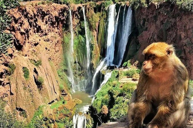 Small Group Ouzoud Waterfall Guided Tour Boat Ride From Marrakech - Customer Reviews
