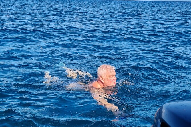 Snorkel With Dolphins, Lunch on Benitiers Island, Speedboat - Additional Information and Reviews