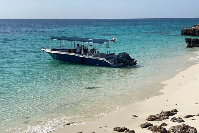 Snorkeling Adventure to Daymaniat Islands - Safety and Accessibility Information