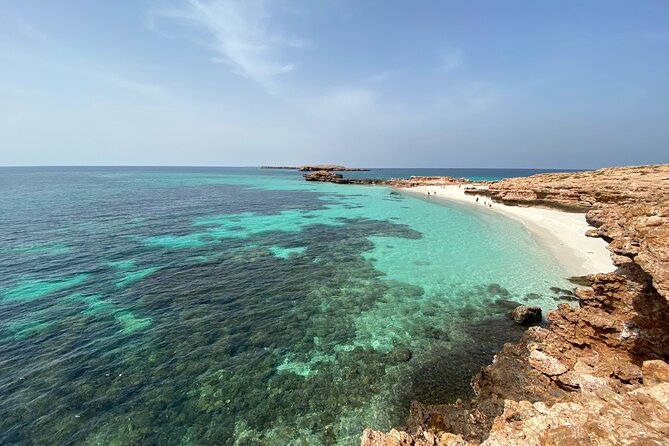 Snorkeling at Dimaniyat Islands and Dolphin Watching - Experience Highlights