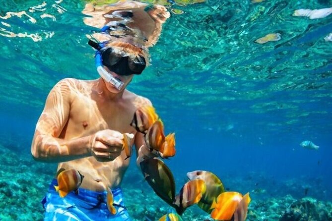 Snorkeling Tour to Marsa Mubarak With Optional Diving -Marsa Alam - The Sum Up
