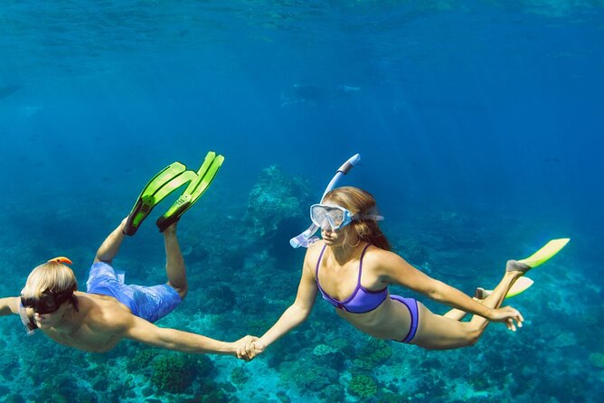 Snorkeling Trips to Daymaniat Islands Sharing Trip - Meeting and Pickup