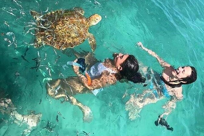 Snorkeling With Giant Turtles & 4 Beaches in the North - Cancellation and Refund Policy