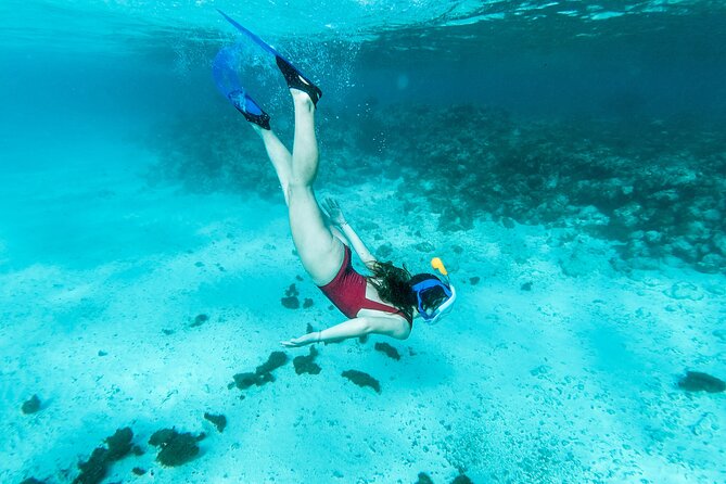Snorkelling Tours to Daymaniyat Island - Frequently Asked Questions