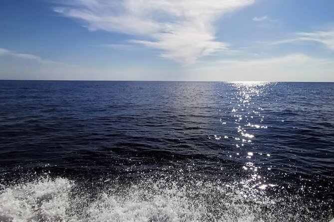 Speedboat Guided Tour to Osljak, Galevac & Ugljan - Included Amenities