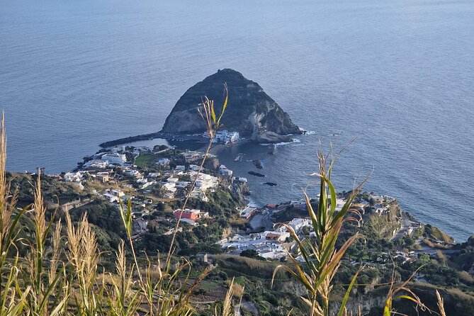 Stress-Free Day From Naples: Ischia Island Tour & Food Tasting - Meeting and End Points