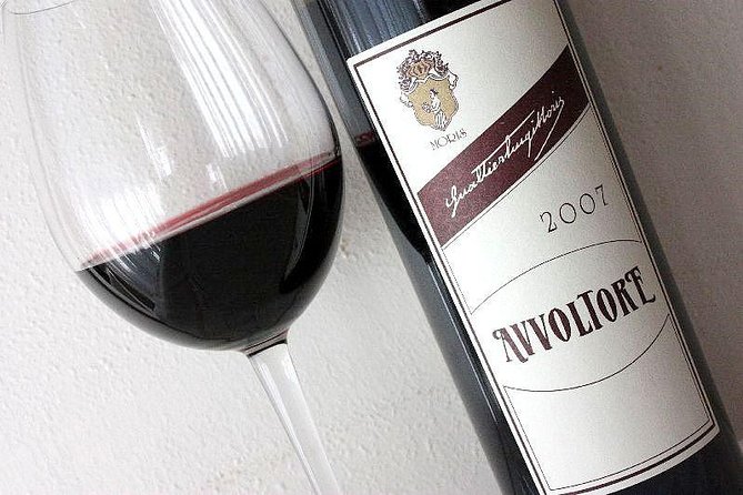 Suvereto Wine Experience PRIVATE TOUR From SIENA