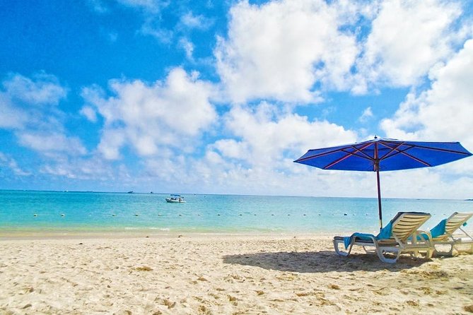 Swim With Wild Dolphins and Visit 4 Beaches in the North - Recommendations and Restrictions
