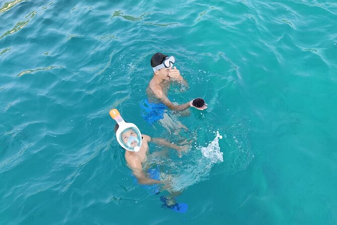 Swimming and Snorkeling in Fazana - Pricing and Reservation Process