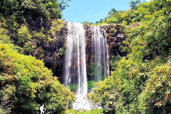 Tamarind Falls/7 Cascades Half Day Hike - Additional Info