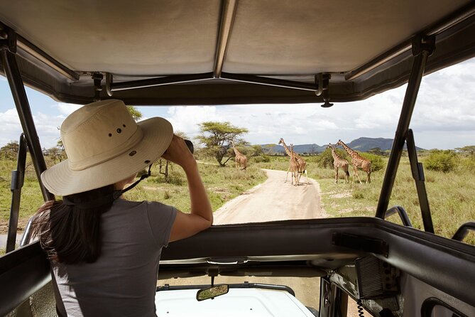 Tarangire, Ngorongoro, Lake Manyara 3-Days