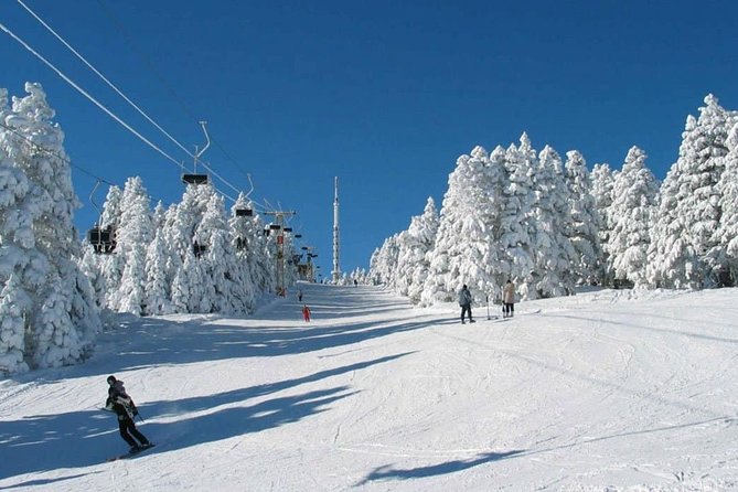 Tbilisi - Bakuriani - Borjomi Private Transfer - Additional Information