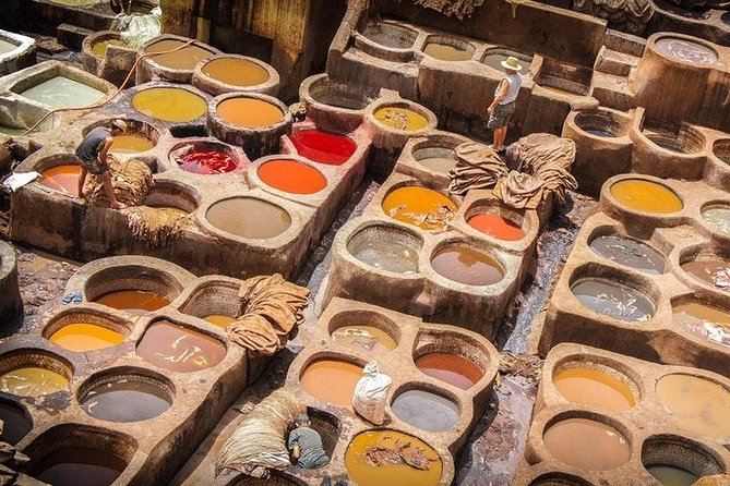 The Best Fes Cultural Tour With Guide & a Stroll With Driver - Final Thoughts