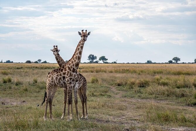 The Mosi Oa Tunya National Park Game Drive - Traveler Restrictions and Safety Measures