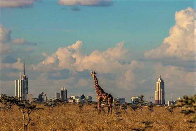 Tour: Giraffe Center and Nairobi National Park - Frequently Asked Questions