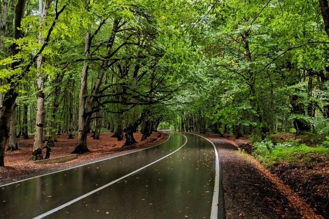 Tour in the Forest of Sabadur and the Chronicler of Georgia. - Customer Reviews