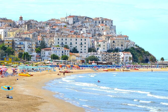 Tour of Gargano With the Train From Foggia to Rodi Garganico - Operator Information