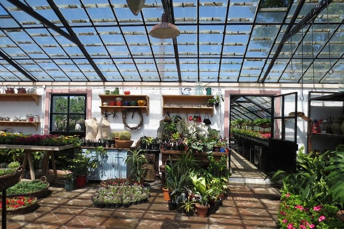 Tour to Gardenia Shevardnadze Flea Market and Tbilisi Old Town - Inclusions