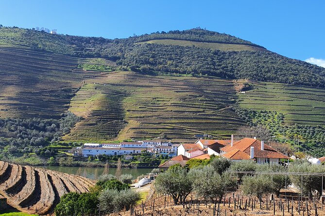 Tour to the Douro Valley From Porto 2 Wineries, Lunch and Boat - Booking Details