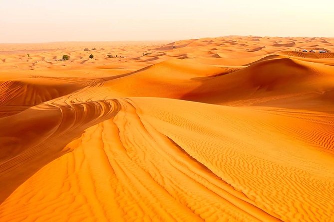 Treasures of Jordan Tour-7 Days Discover Petra & Dead Sea & Wadi Rum With Hotels - Additional Tour Information