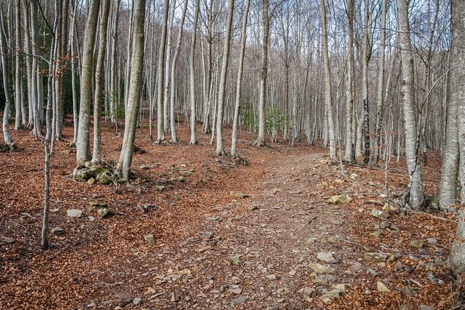 Trekking Experience in Montseny From Barcelona - Experience Features and Inclusions