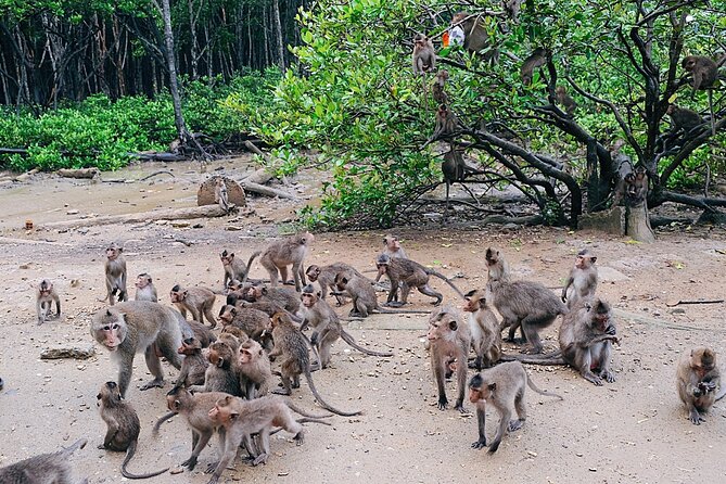 Trekking Mangrove Forest - Monkey Island- Crocodile Farm - Can Gio Tour From HCM - Additional Tour Information