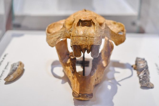 Trip to Wadi El-Hitan and El Fayoum Waterfalls From Cairo - Departure Point