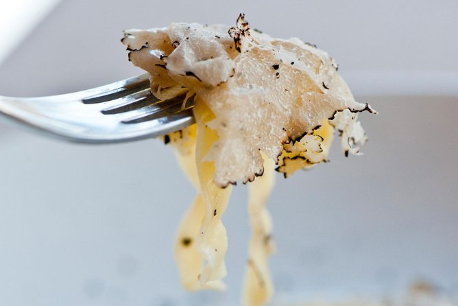 Truffle Hunting in the Woods of Istria and Wine Tasting With Alex - Book Your Exclusive Truffle Adventure