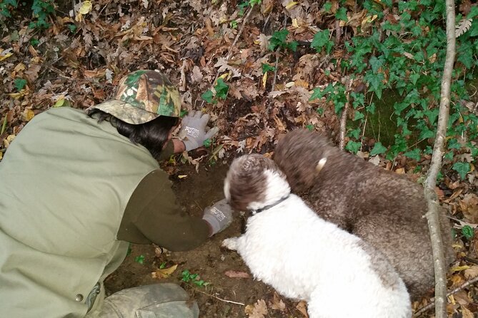 Truffle Hunting in Tuscany: Private Shore Excursion From Livorno Port - Additional Information