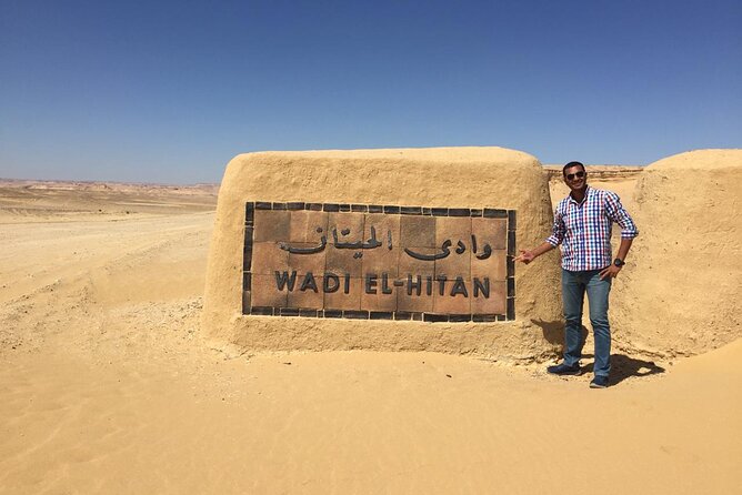 Two Day Tours Adventuring The Whale Valley, Desert Camping & Giza Pyramids - Transportation and Logistics