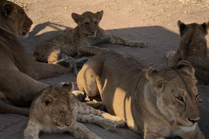 Two Days Trip to Selous/Nyerere National Park Fly From Zanzibar - Itinerary Overview