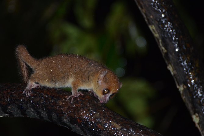 Unique Madagascar - Pricing and Booking Information