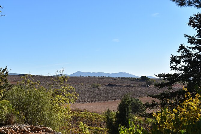 Utiel-Requena Excursion: Uncover the Flavors of Valencias Wine - Cultural Insights and Stories