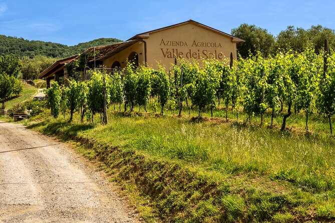 Valle Del Sole Tour and Tasting of Our Top Wines - Tasting Sessions