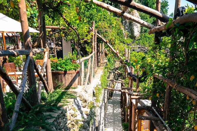 Visit to a Lemon Grove on the Amalfi Coast With Tasting - Booking Information