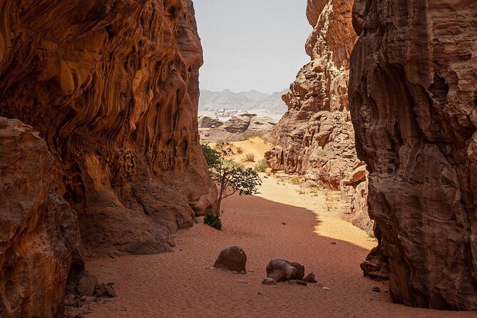 Wadi Rum Desert Tour With Lunch & Sunset - Frequently Asked Questions
