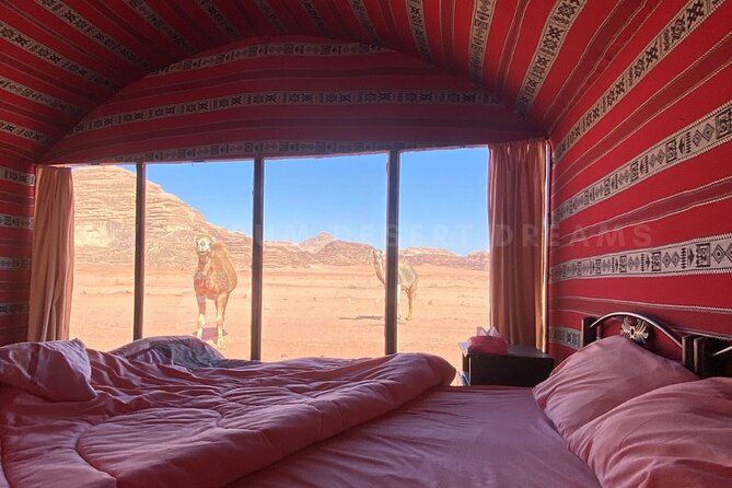 Wadi Rum Full Day Jeep Tour + Overnight & Dinner in Bedouin Camp - Cancellation Policy and Pricing