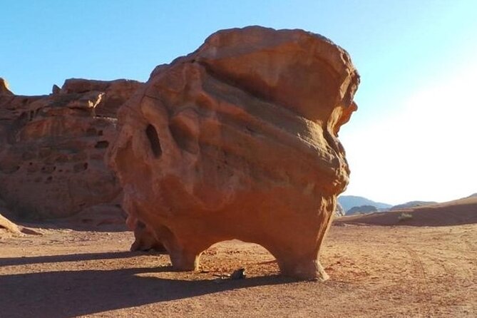 Wadi Rum Full-Day Private Tour From Amman or Airport - Inclusions