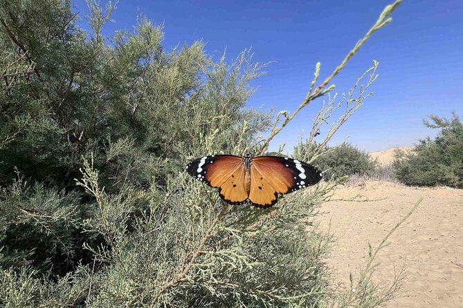 Whales Valley Museum, Magic Lake and Waterfalls in Faiyum Desert - Additional Tips for a Smooth Visit