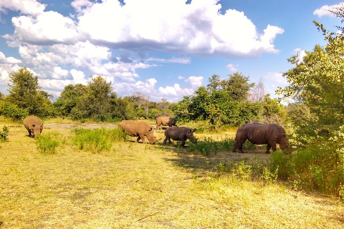 White Rhino Walk in the Mosi Oa Tunya - Additional Information