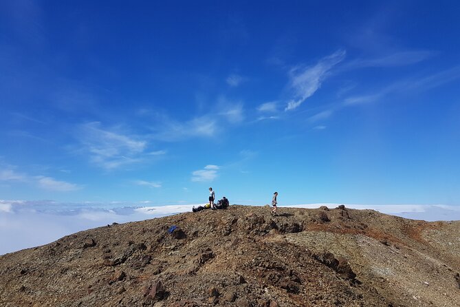 Wild Iceland Nupstaðarskógar Expedition - Frequently Asked Questions