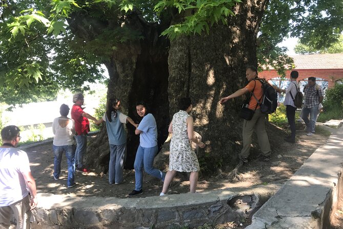 Wine, Food and Nature Tour in Wine Region Kakheti - Culinary Delights