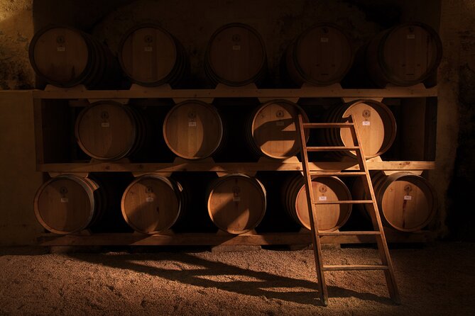 Winery Tour and Tasting in Salento - Meeting and Pickup Information