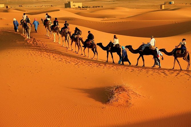 Zagora 2 Days and 1 Night Tour From Marrakech - Tour Overview