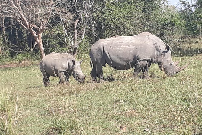 Zziwa Rhino Sanctuary Walking Safari - Cancellation Policy